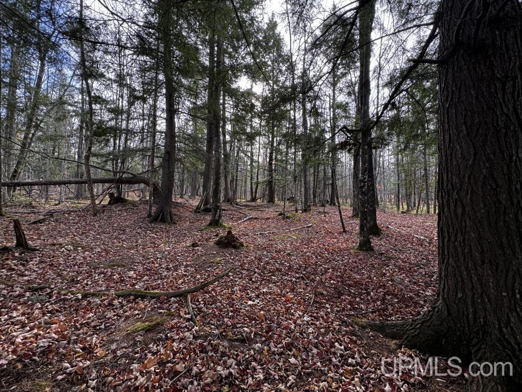 Tbd Skanee Road Skanee, MI 49962 - Photo 2 of 24 Gallery Image 2