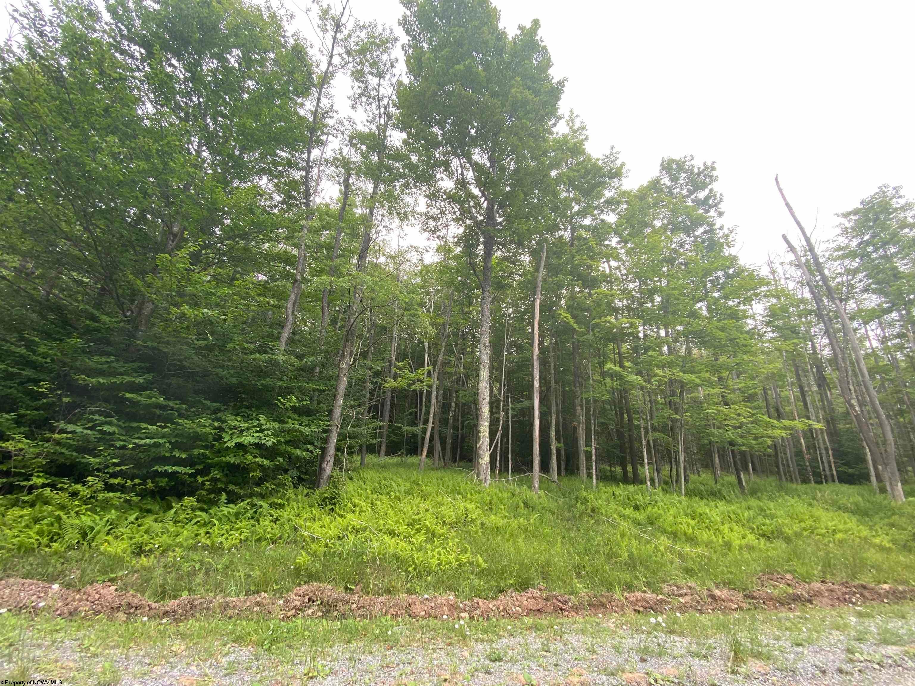 177 Cabin Mountain Road Davis, WV 26260 - Photo 19 of 40 Gallery Image 19