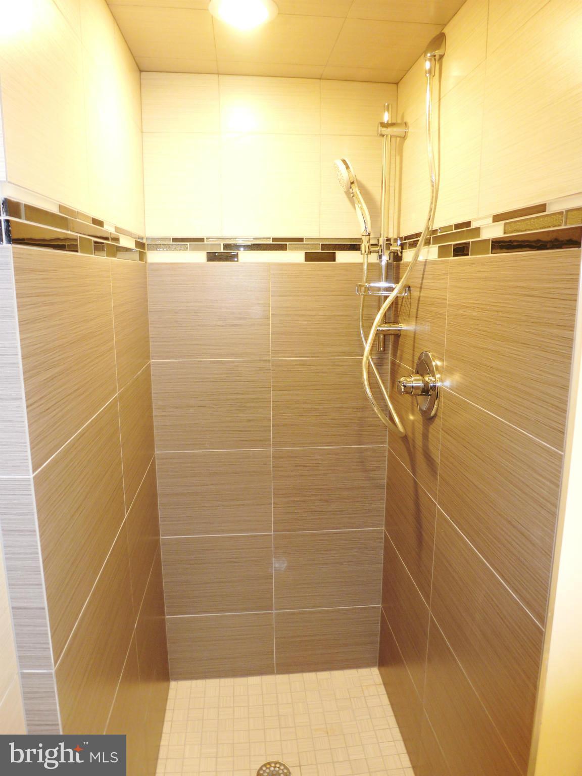 1102 5th Street Northwest, Unit 2 Washington, DC 20001 - Photo 8 of 9 Shower