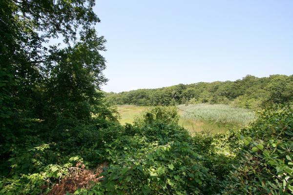 124 Red Brook Harbor Road Cataumet, MA 02534 - Photo 10 of 29 Additional Photo