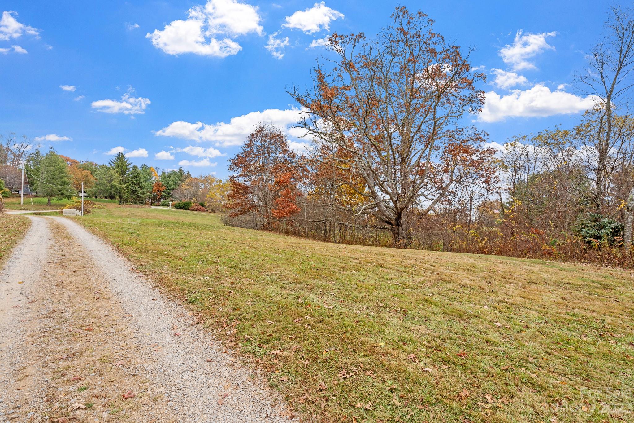99999 Pioneer Ridge Road, Unit 56 Canton, NC 28716 - Photo 9 of 25 a view of big yard with large trees