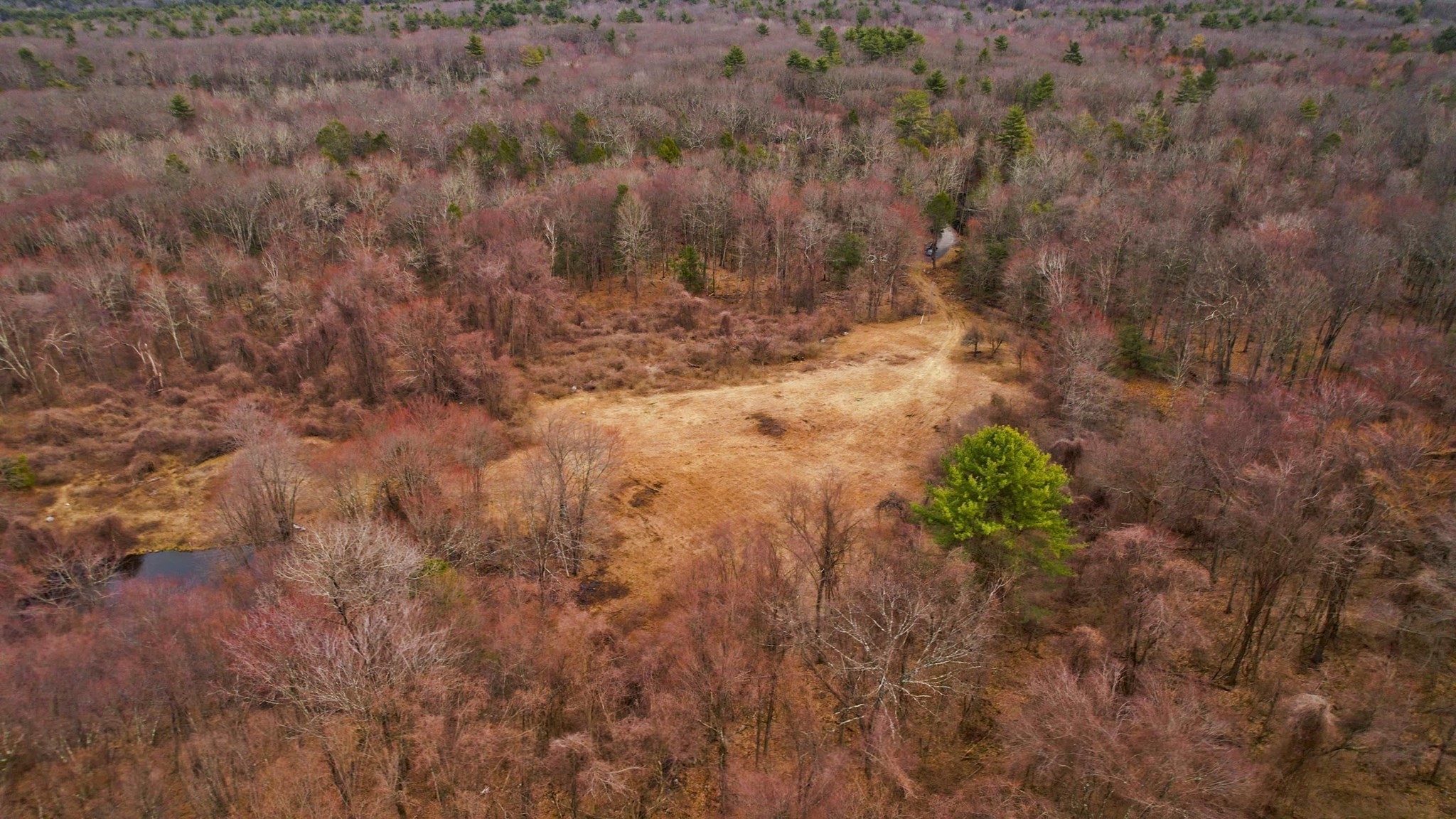 182 Old Stage Road Hatfield, MA 01088 - Photo 5 of 11 Gallery Image 5