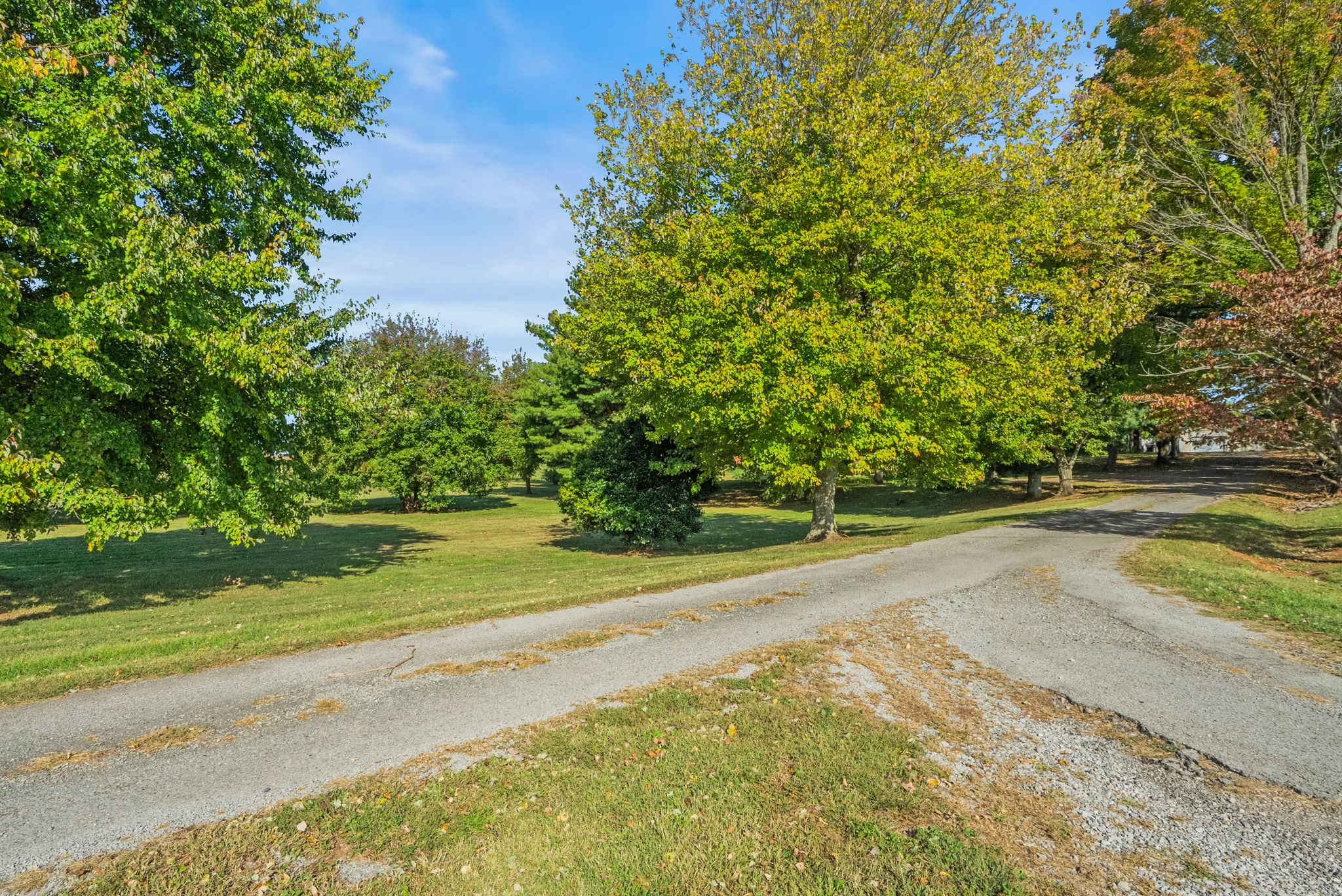 4540 Roy Cole Road Springfield, TN 37172 - Photo 11 of 61 a view of a yard with plants