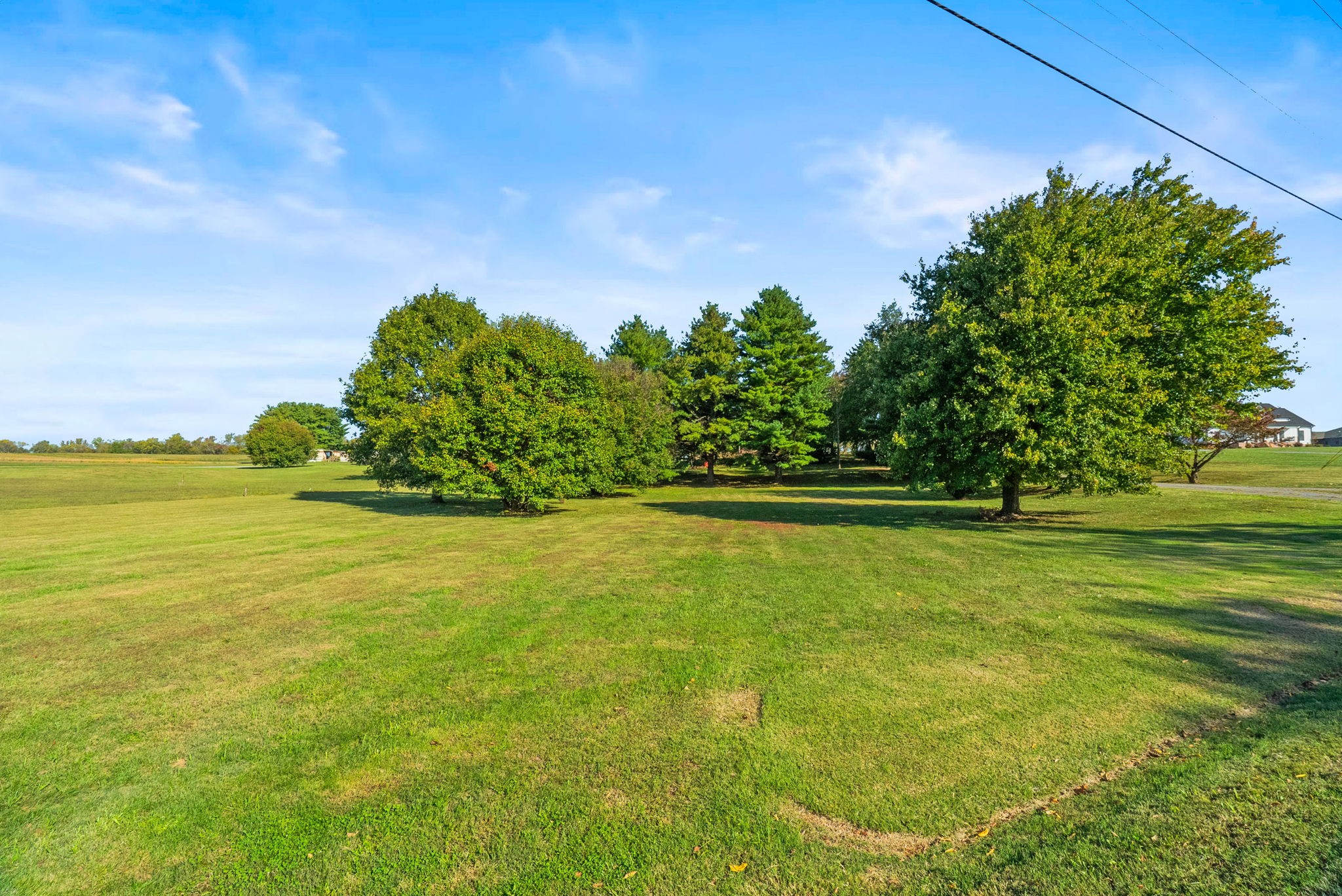 4540 Roy Cole Road Springfield, TN 37172 - Photo 12 of 61