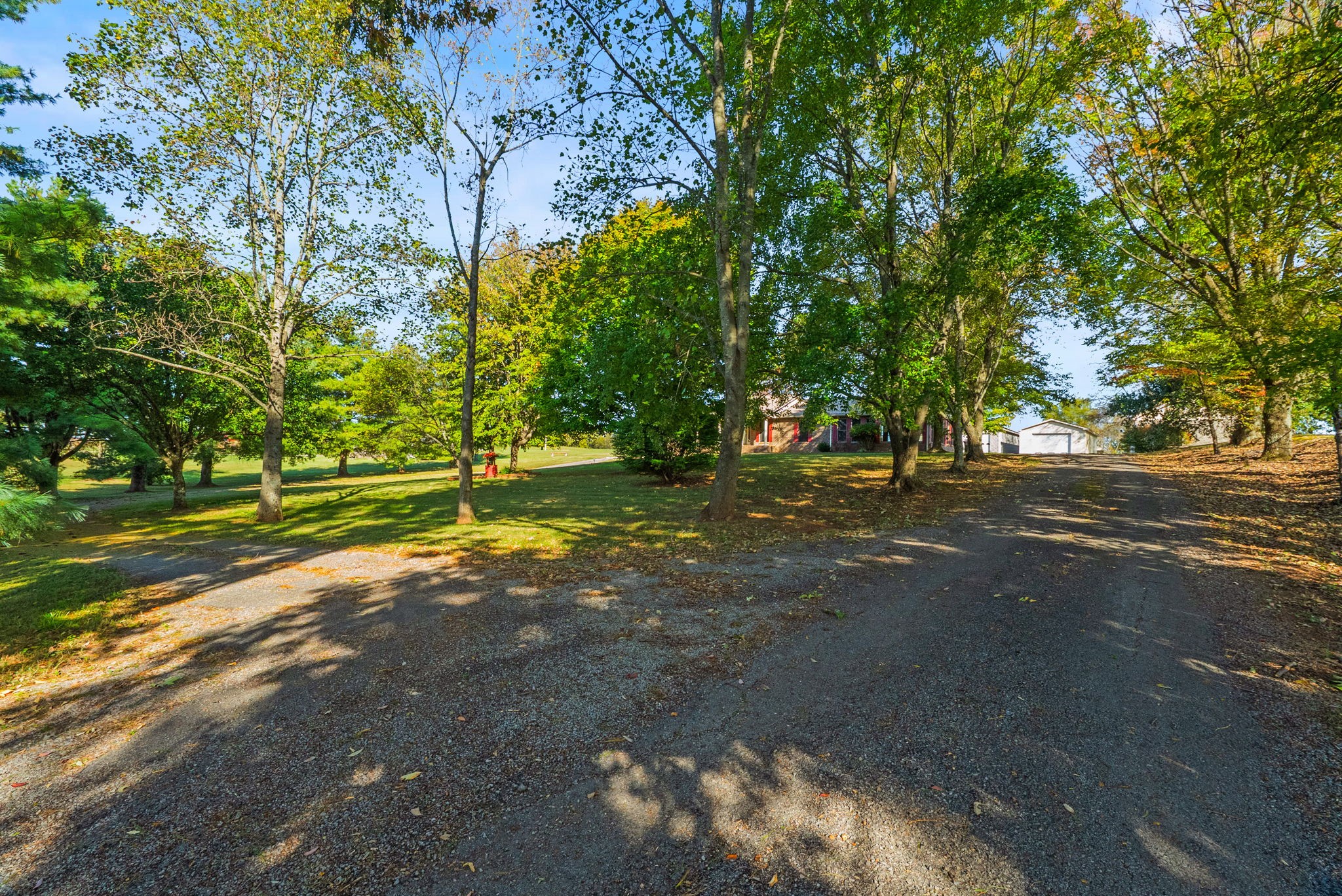 4540 Roy Cole Road Springfield, TN 37172 - Photo 13 of 61 a view of a street with a yard