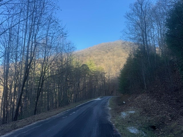 68-acres Ponderosa Road Rabun Gap, GA 30568 - Photo 11 of 25 a view of a yard