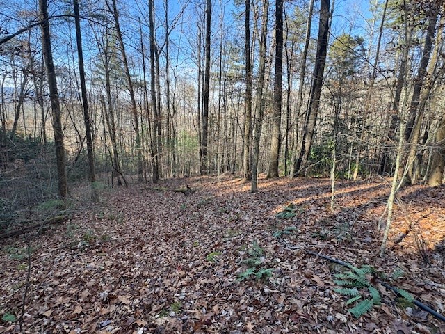 68-acres Ponderosa Road Rabun Gap, GA 30568 - Photo 12 of 25 a backyard of a house with lots of green space