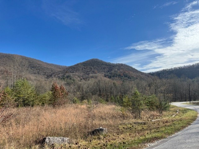 68-acres Ponderosa Road Rabun Gap, GA 30568 - Photo 15 of 25 a view of a dry yard with green space