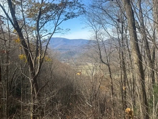 a view of mountain view with trees