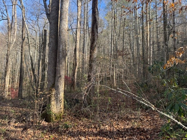 68-acres Ponderosa Road Rabun Gap, GA 30568 - Photo 18 of 25 a view of a backyard of the house