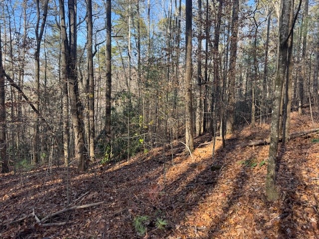 68-acres Ponderosa Road Rabun Gap, GA 30568 - Photo 2 of 25 a view of a forest with trees