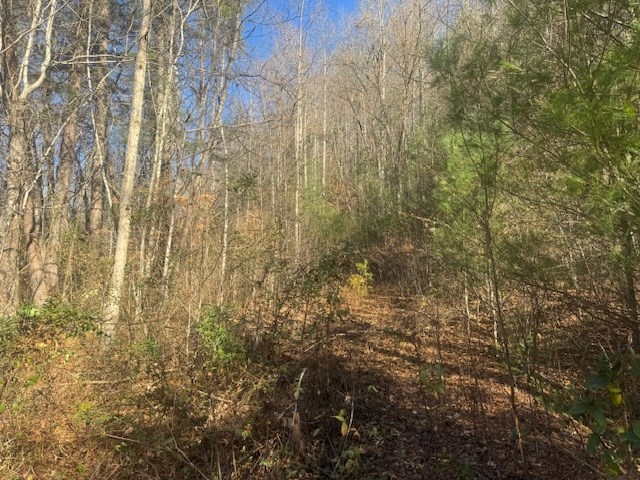 68-acres Ponderosa Road Rabun Gap, GA 30568 - Photo 21 of 25 a bathroom with a shower