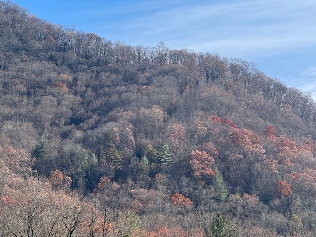 68-acres Ponderosa Road Rabun Gap, GA 30568 - Photo 22 of 25 a view of a dry field