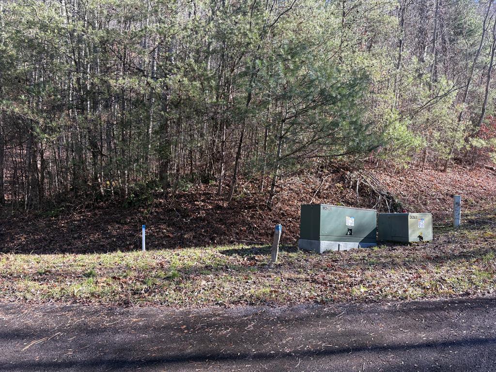 68-acres Ponderosa Road Rabun Gap, GA 30568 - Photo 23 of 25 a view of a backyard with large trees