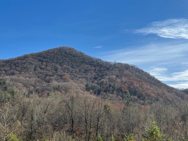 68-acres Ponderosa Road Rabun Gap, GA 30568 - Photo 3 of 25 a view of a dry yard