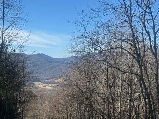68-acres Ponderosa Road Rabun Gap, GA 30568 - Photo 5 of 25 a view of a yard with a tree