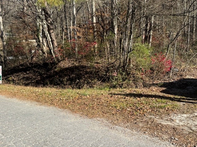 68-acres Ponderosa Road Rabun Gap, GA 30568 - Photo 9 of 25 a view of a yard with trees