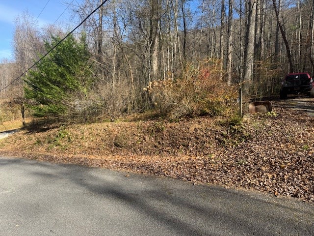 68-acres Ponderosa Road Rabun Gap, GA 30568 - Photo 10 of 25 a view of a yard with wooden fence