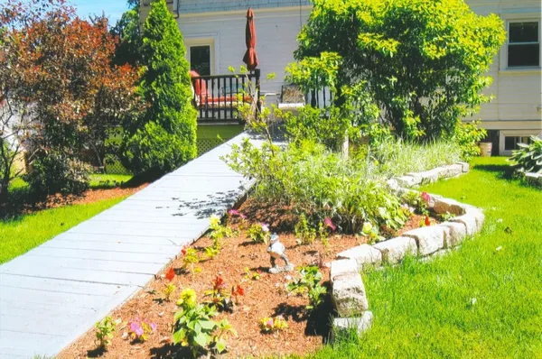a view of a garden with plants