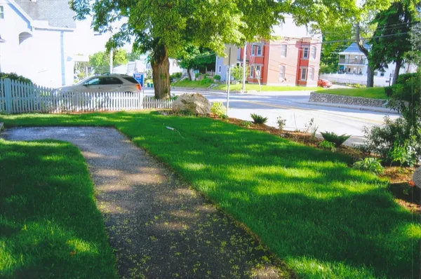 a view of a garden with plants and large trees