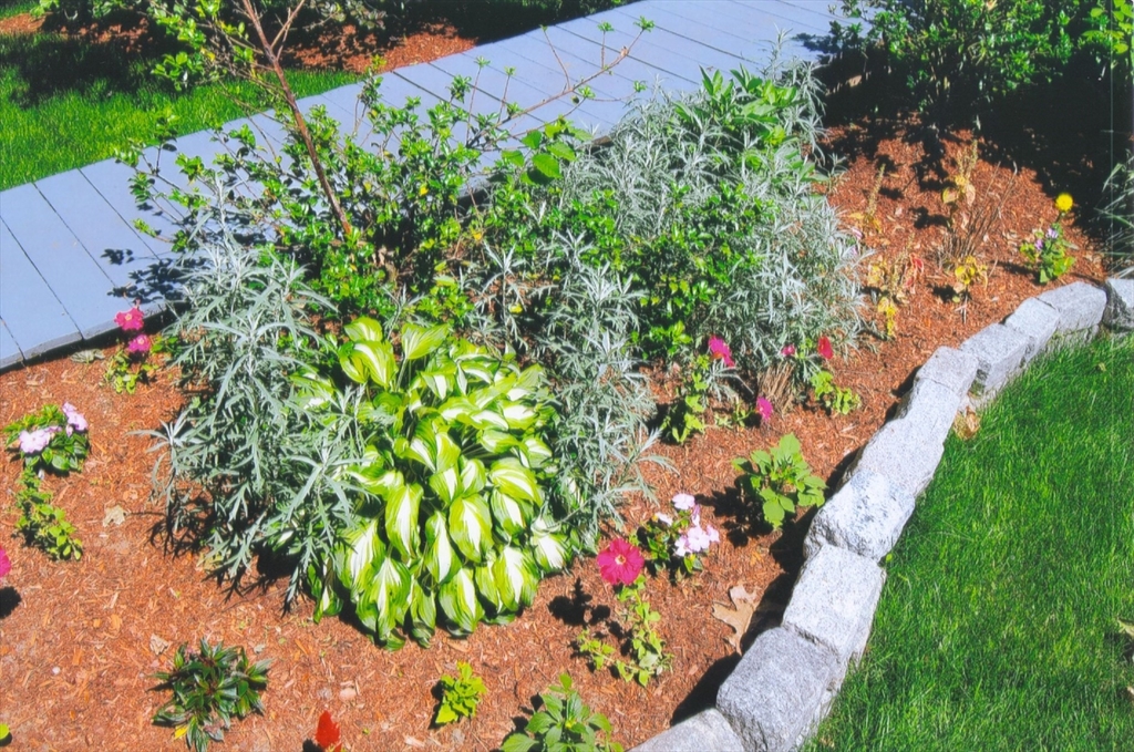 156 Summer Street Fitchburg, MA 01420 - Photo 35 of 36 a picture of flowers