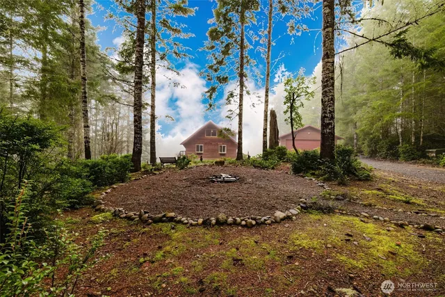 a view of a park with large trees