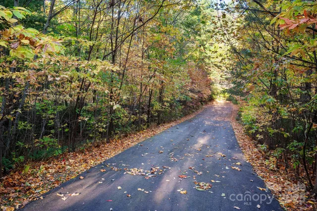 a view of a road with trees in the background