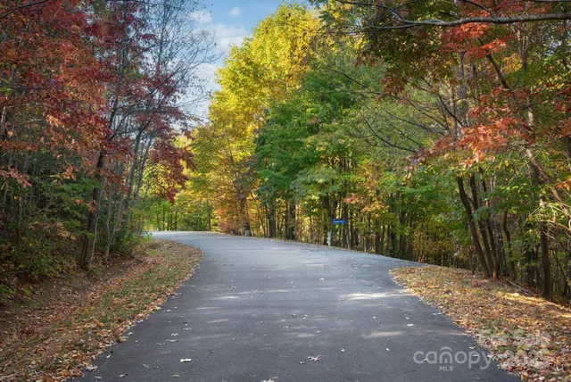 a view of a street with potted plants and large trees