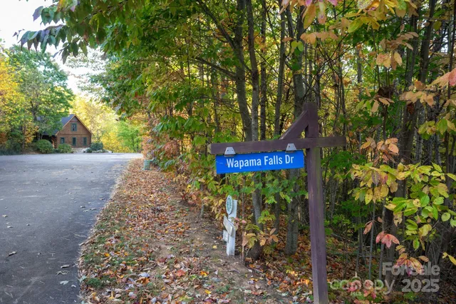 a view of a lush green field with mountains in the background