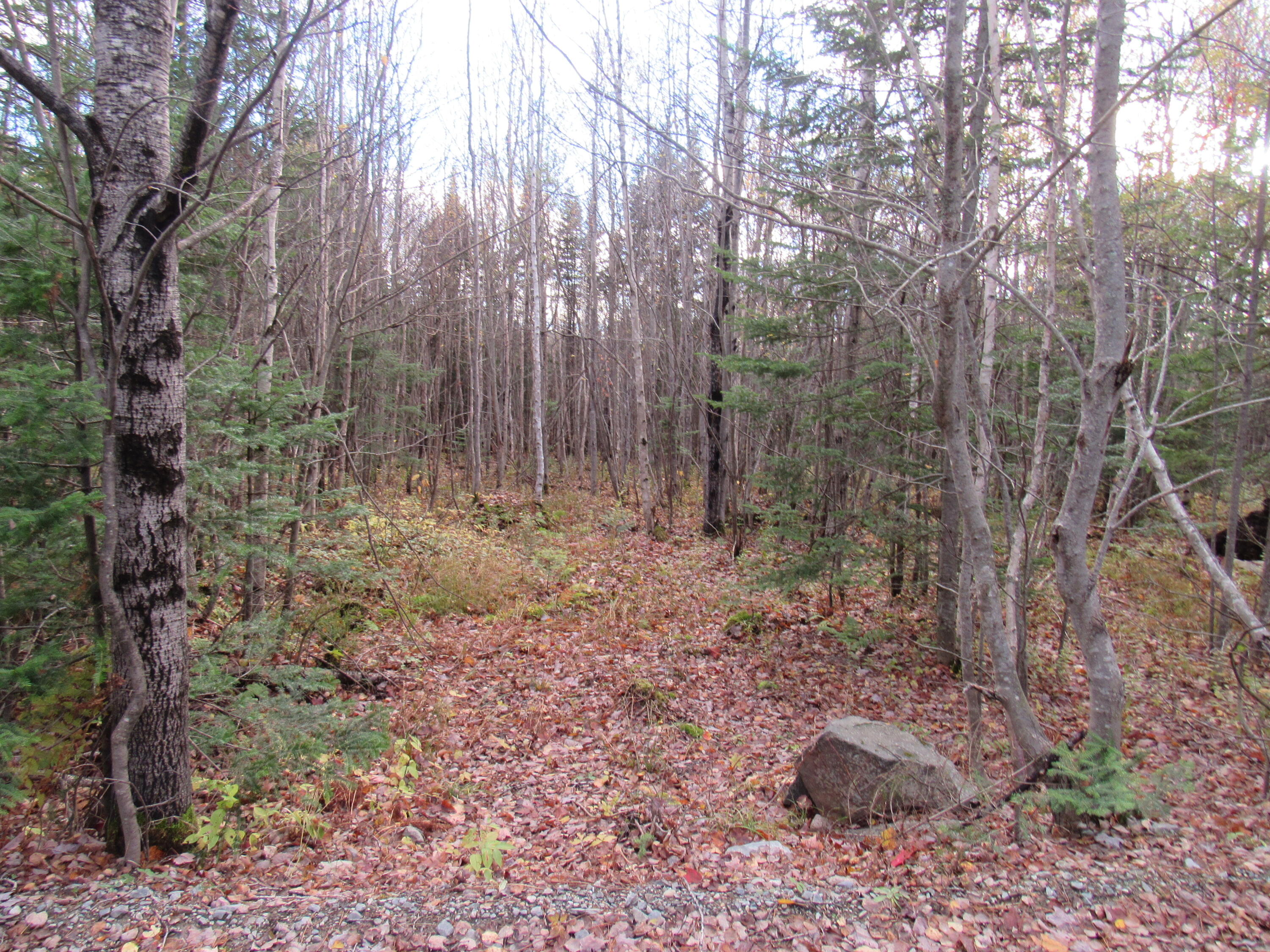 Lot112 Larochelle Road West Forks, ME 04945 - Photo 7 of 12 IMG_7215
