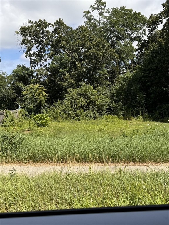 0 Page Boulevard Springfield, MA 01104 - Photo 2 of 2 a view of yard with green space