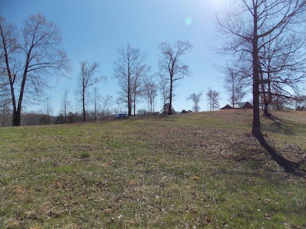 0 Golfview Lane Decaturville, TN 38329 - Photo 14 of 14 Gallery Image 14