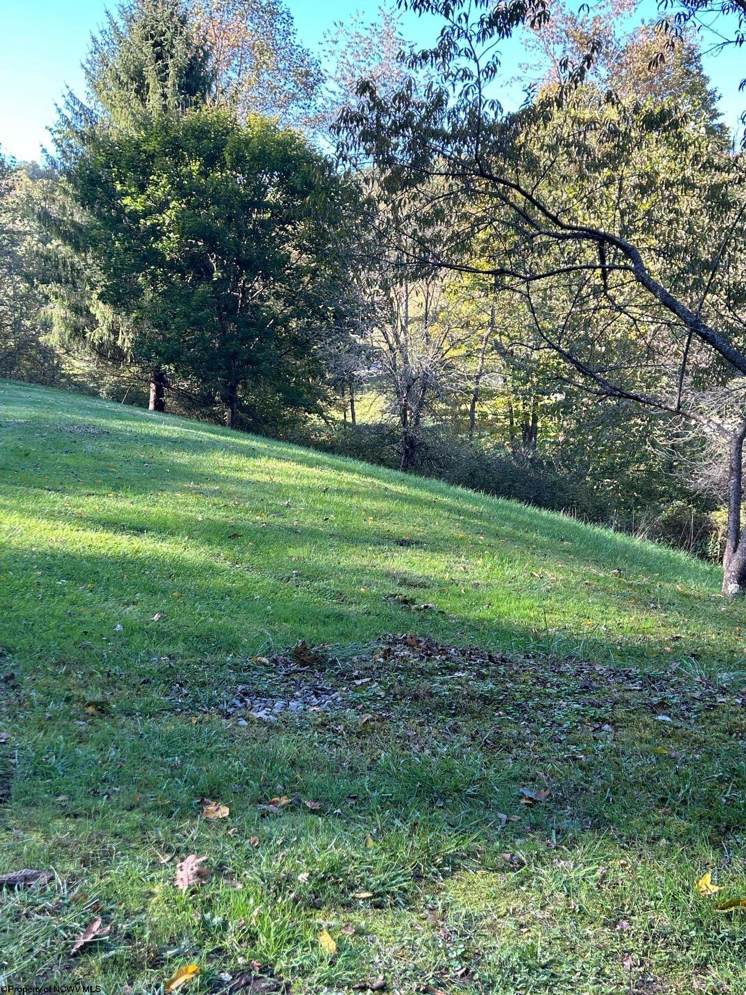 183 Three Lick Road Buckhannon, WV 26201 - Photo 10 of 29 Gallery Image 10