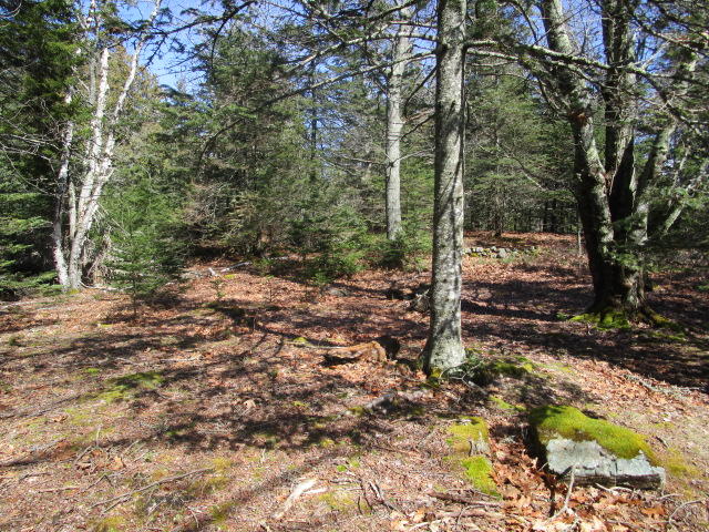 Lot 32 A W Smith Road Vinalhaven, ME 04863 - Photo 7 of 7 Haible photos SEal cove 010