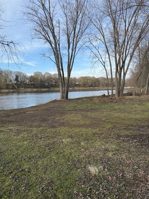 1150 Widows Road Wilmington, IL 60481 - Photo 4 of 7 a view of lake with outdoor space
