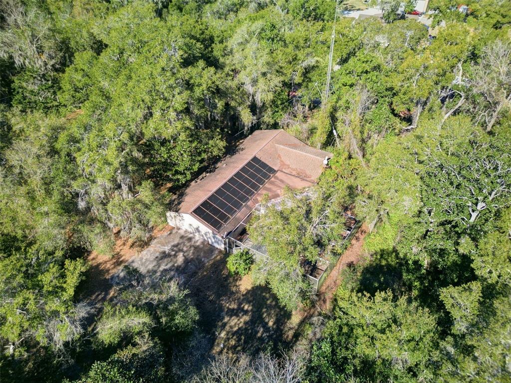 885 Braddock Road Deltona, FL 32725 - Photo 9 of 56 Gallery Image 9