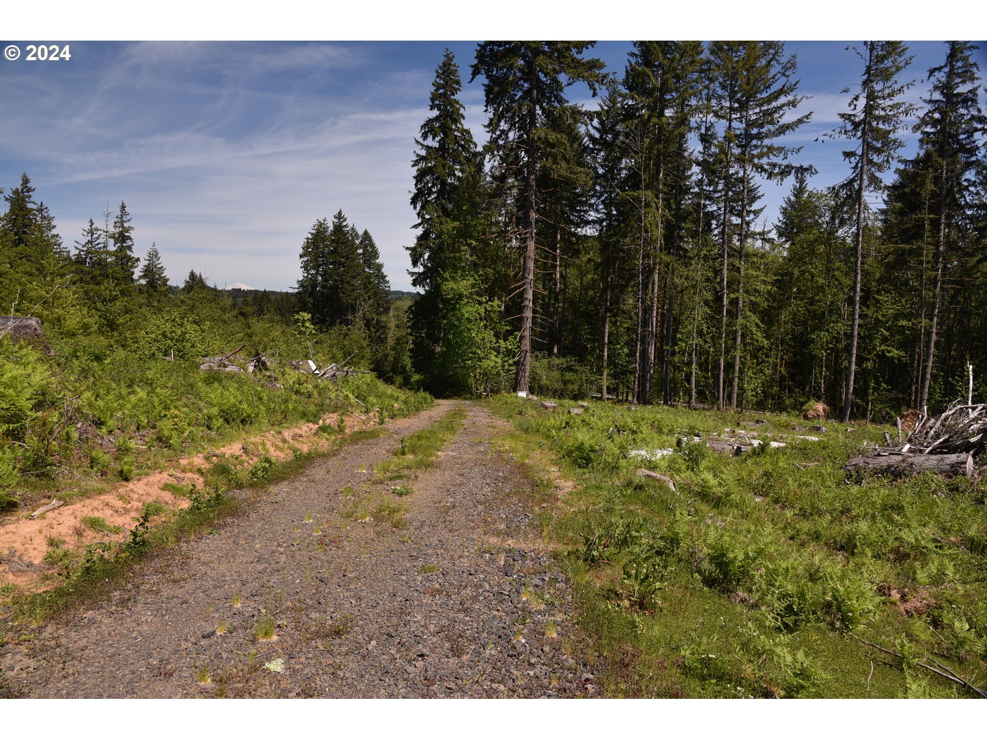 Monster Mountain Drive Scappoose, OR 97056 - Photo 2 of 26 a view of outdoor space with trees all around