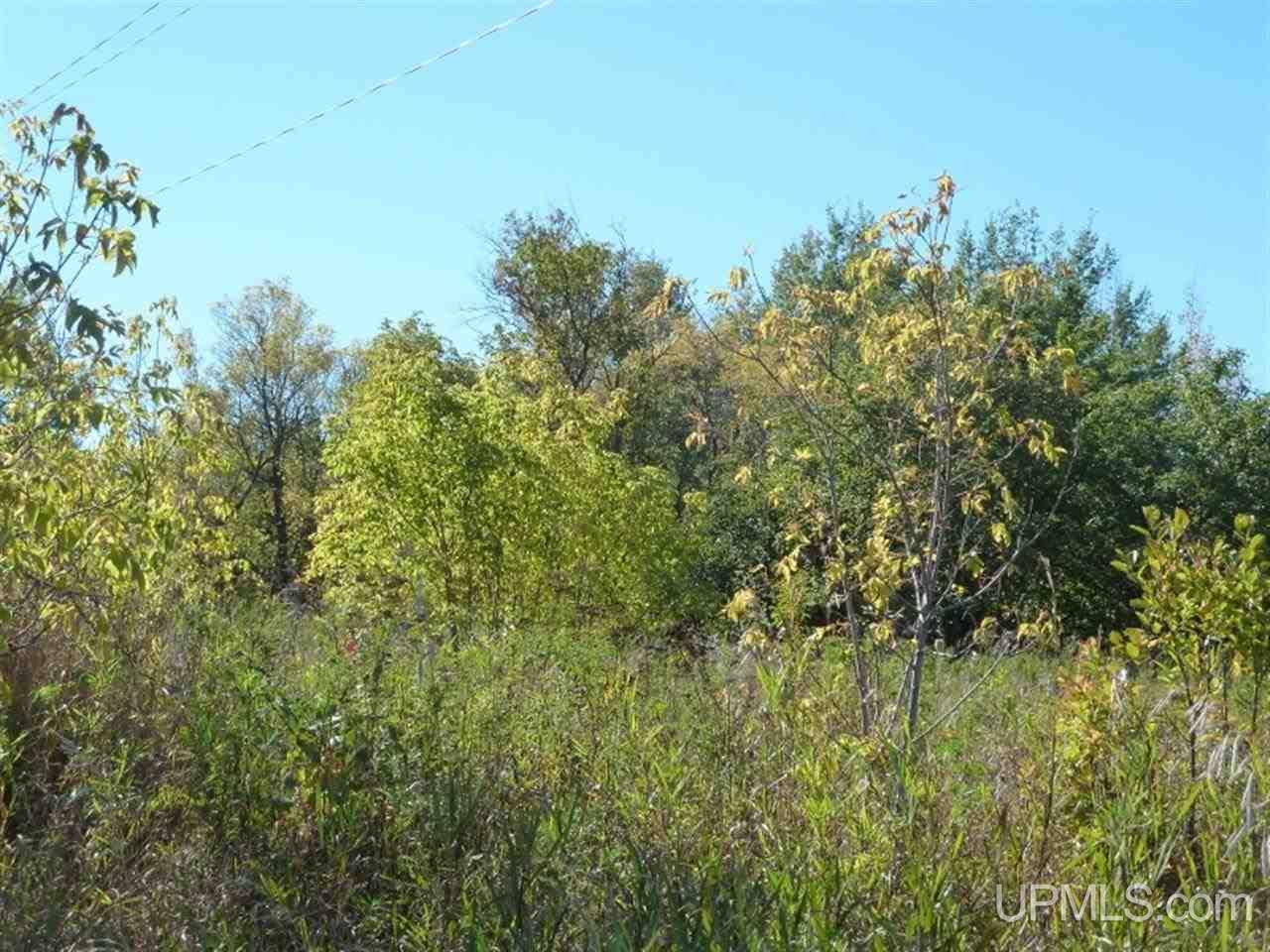 Tbd Part Of 19 Mine Rock Road Calumet, MI 49930 - Photo 5 of 7