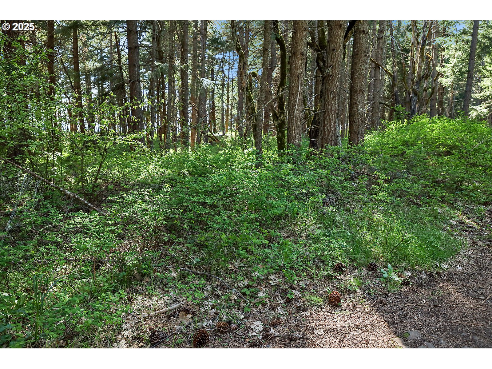 101 Cooke Road White Salmon, WA 98672 - Photo 29 of 48