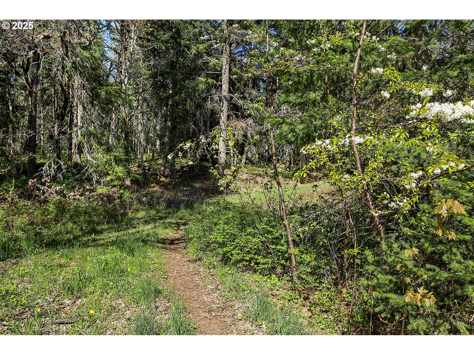 101 Cooke Road White Salmon, WA 98672 - Photo 33 of 48