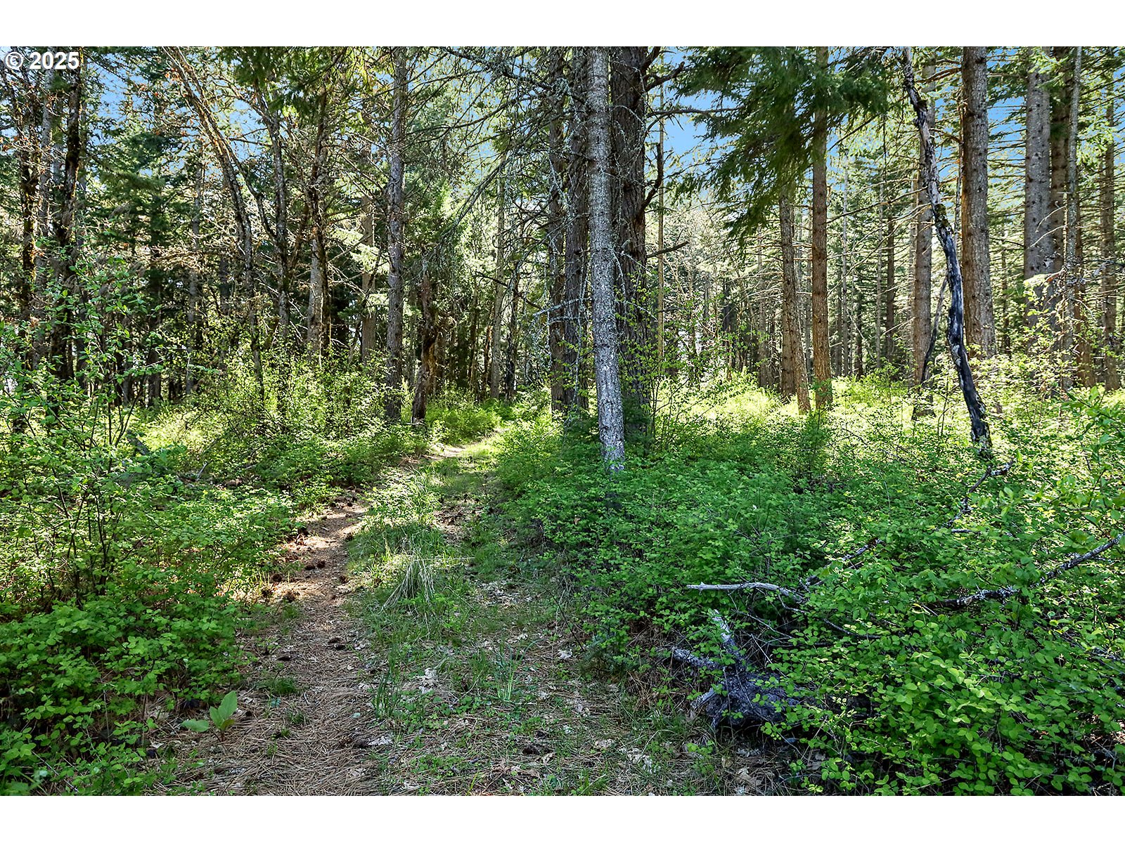 101 Cooke Road White Salmon, WA 98672 - Photo 34 of 48