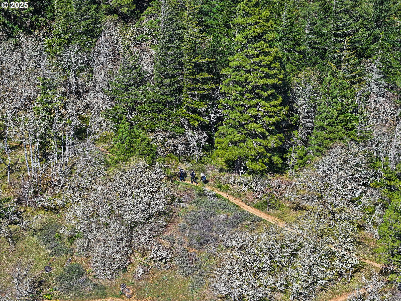 101 Cooke Road White Salmon, WA 98672 - Photo 35 of 48