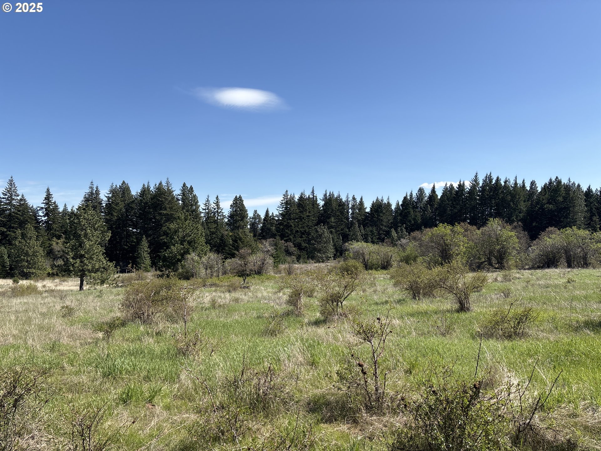 101 Cooke Road White Salmon, WA 98672 - Photo 45 of 48