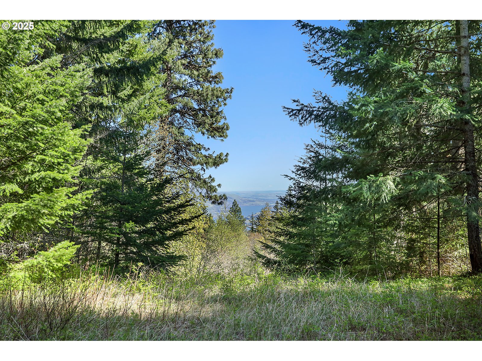 101 Cooke Road White Salmon, WA 98672 - Photo 5 of 48