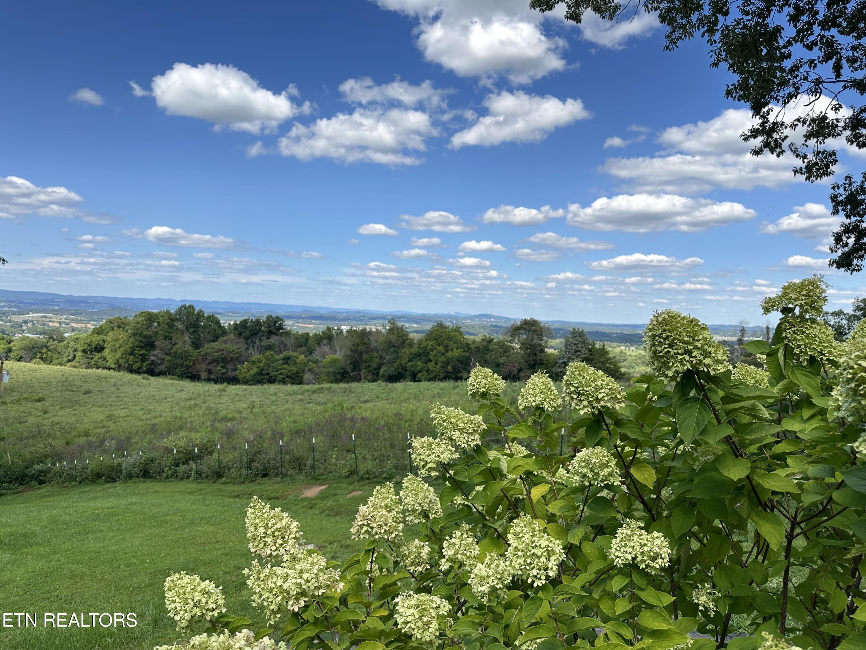 960 Cave Road Jefferson City, TN 37760 - Photo 5 of 45 3