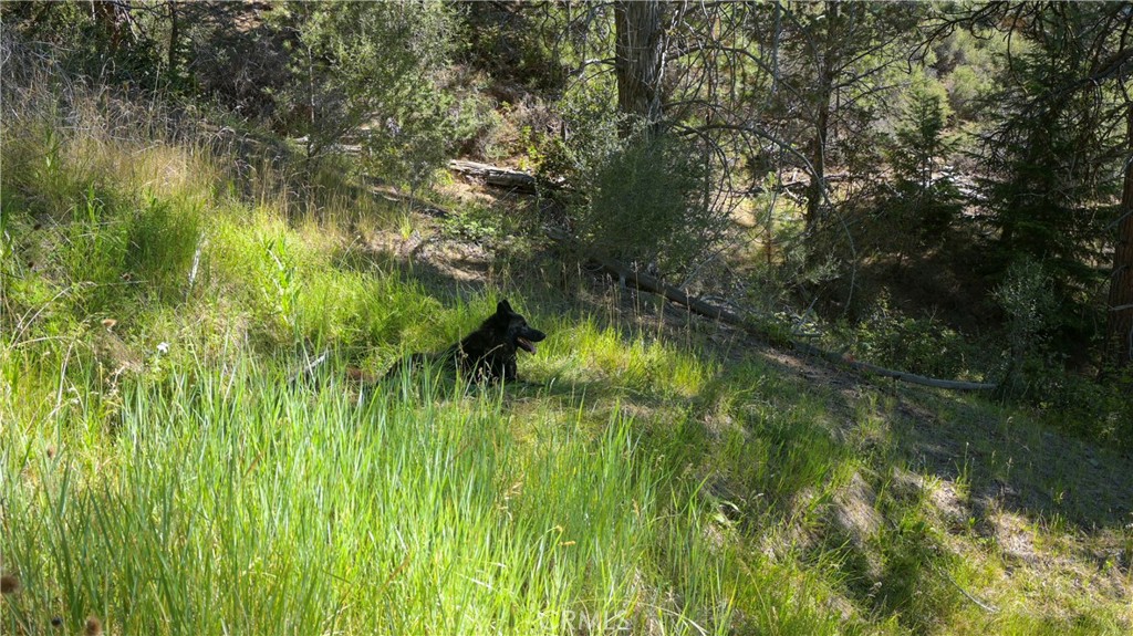 1 Duzel Creek Road Fort Jones, CA 96032 - Photo 36 of 38