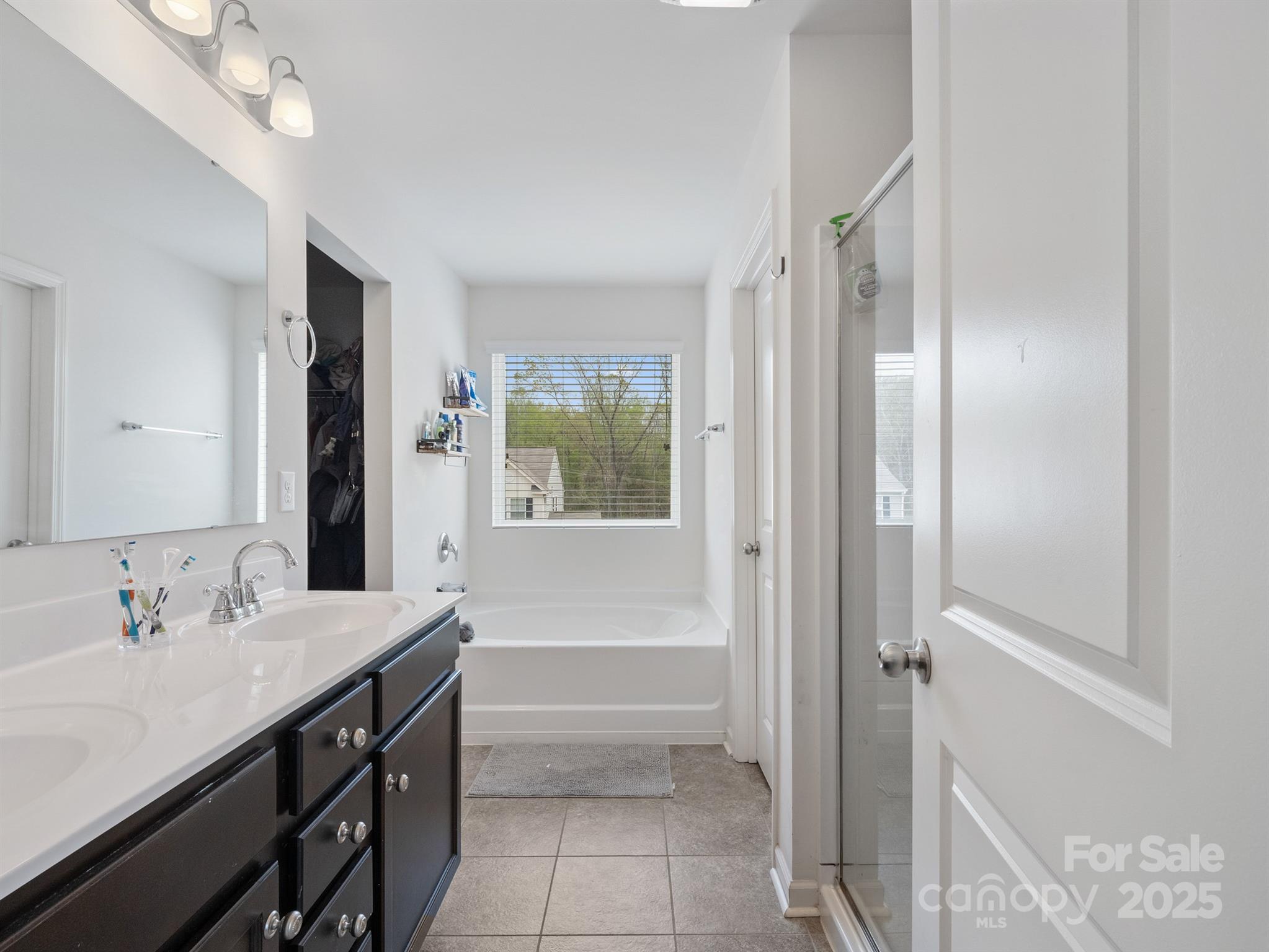 629 Gants Road York, SC 29745 - Photo 17 of 28 a bathroom with a tub a sink and a large mirror