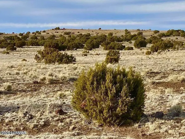 $3,499 | 5150 1.22 Acres Concho Az 85924, Concho, AZ 85924