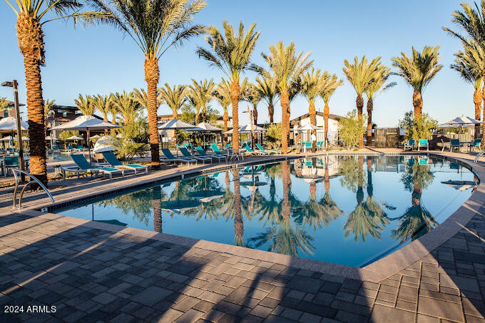 9749 East Tahoe Avenue, Unit 2 Mesa, AZ 85212 - Photo 22 of 25 a view of a lake with a palm tree
