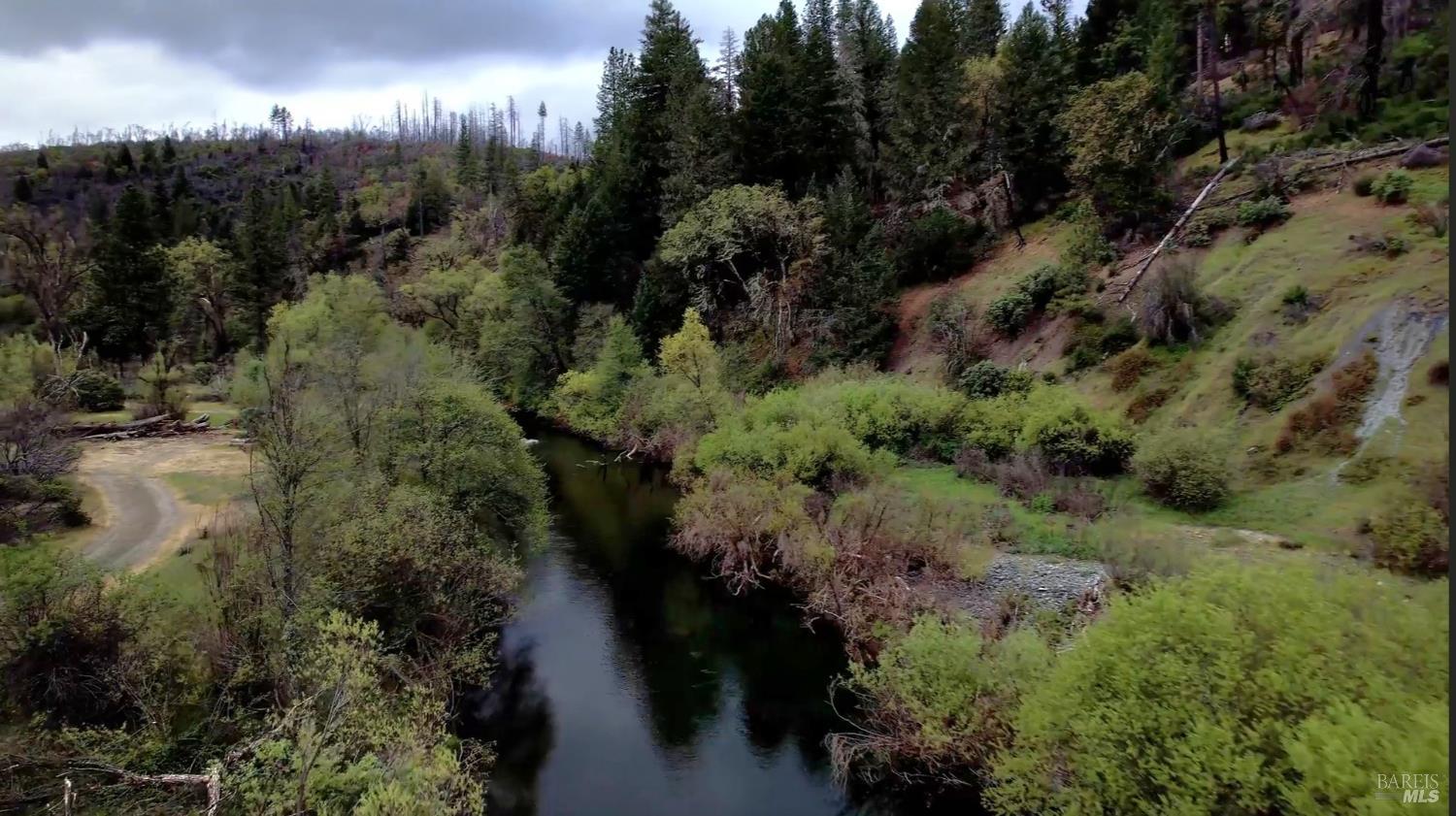 2168 Bear Creek Road Upper Lake, CA 95485 - Photo 13 of 16 a view of a yard and lots of plants